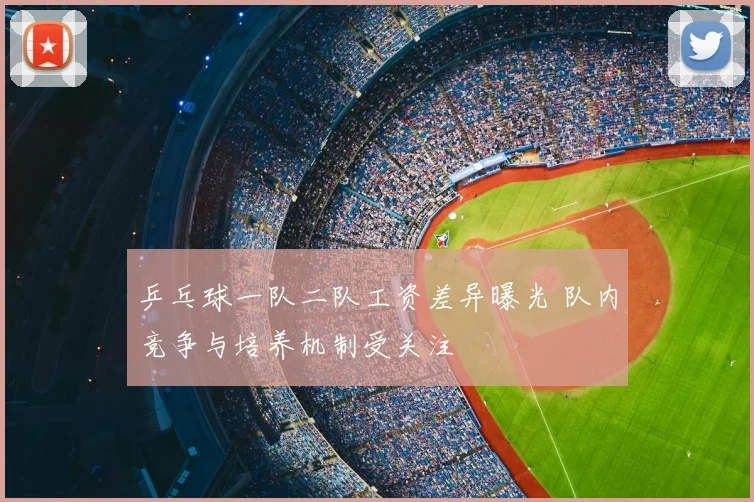 乒乓球一队二队工资差异曝光 队内竞争与培养机制受关注